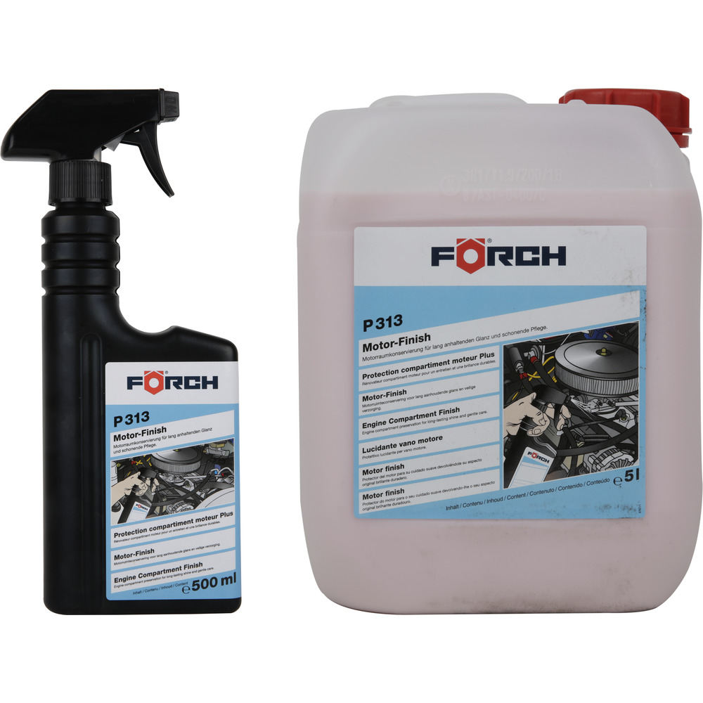 Engine Finish P313