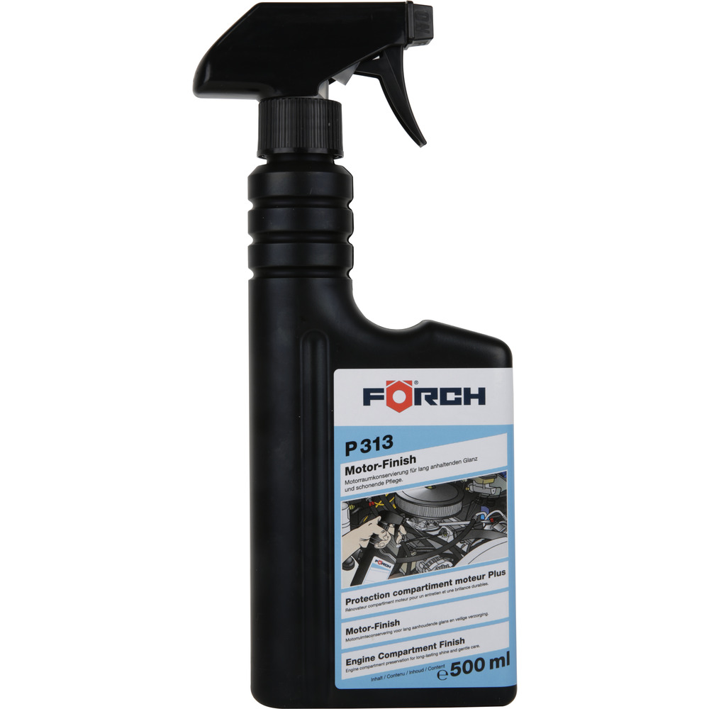 Engine Finish P313