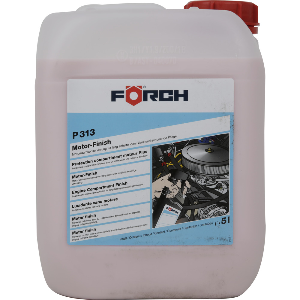 Engine Finish P313
