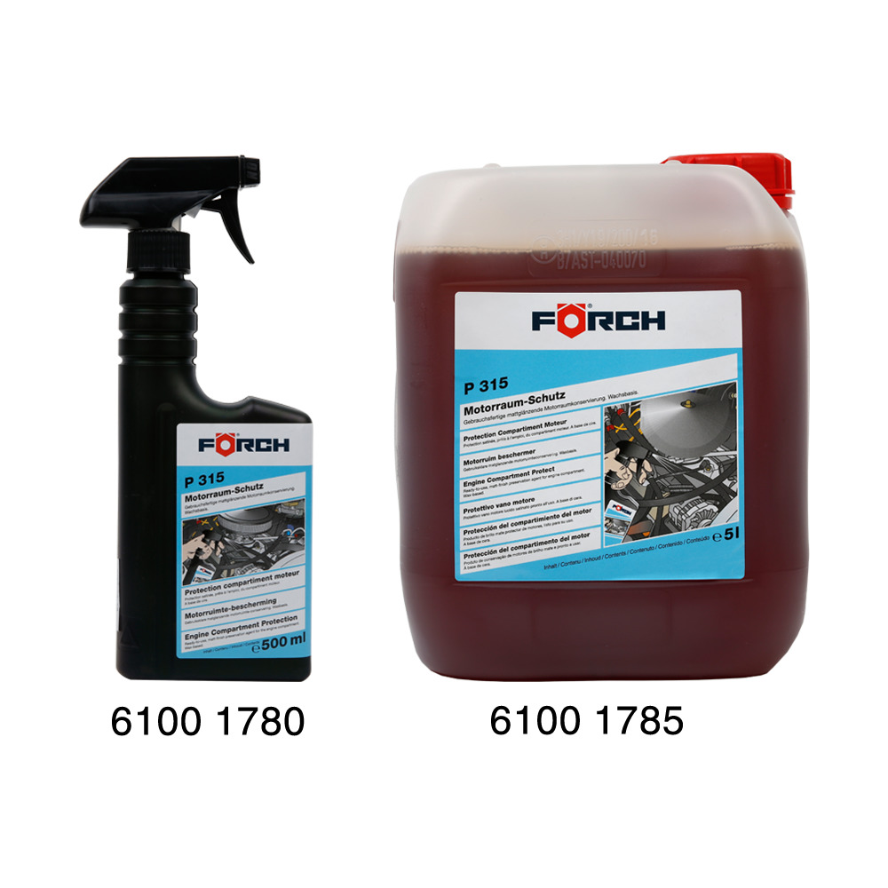 Mbrojtje për Dhomën e Motorit P315